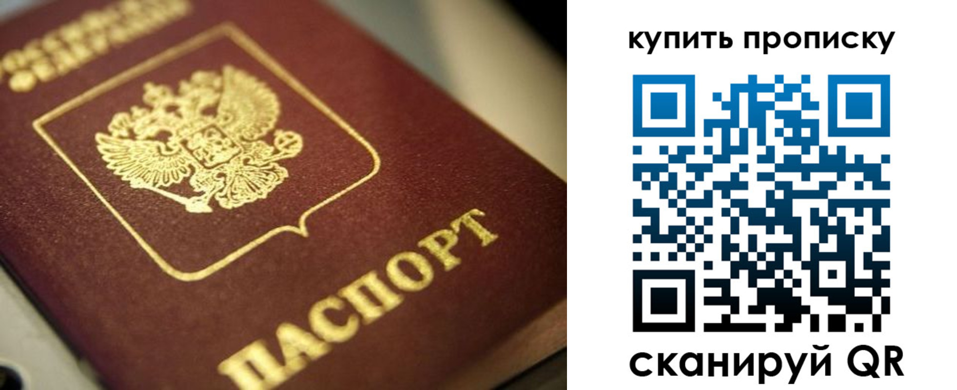 прописка поиск в Мурманске